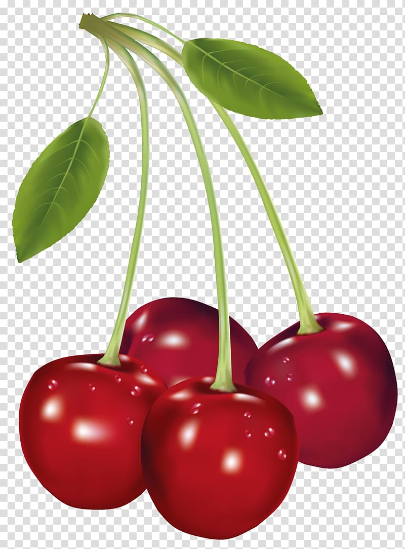 Cereja Cerejas Quatro Frutas Vermelhas Png RealPNG