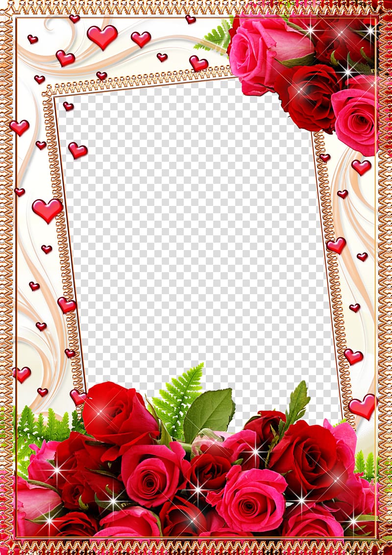 Frame Flower Rose Mood Frame S Moldura Digital De Rosas Cor De Rosa E Vermelhas Png Realpng 7448